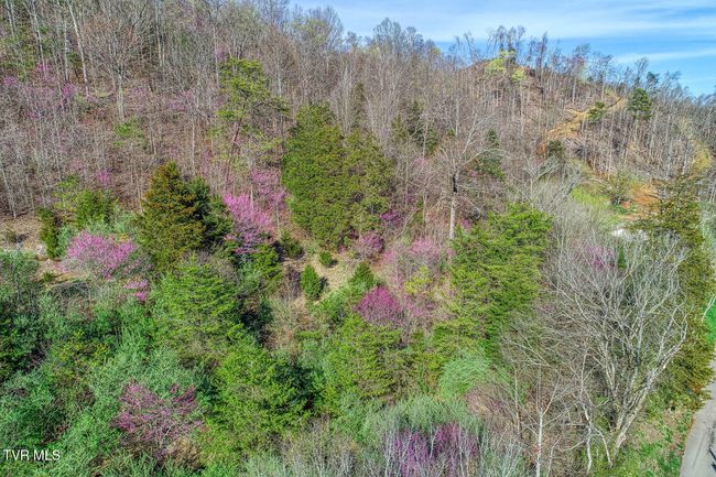 000 Sensabaugh Hollow Rd, Home with 0 bedrooms, 0 bathrooms and null parking in Church Hill TN | Image 9