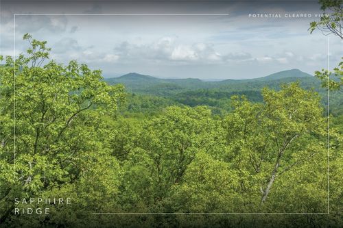 17 Orchard Way, Sapphire, NC, 28774 | Card Image