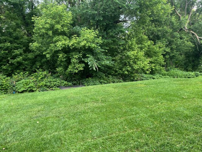 Enjoy the serenity of a lush, vibrant, and private homesite. A walk-out basement offers ease of access! | Image 23