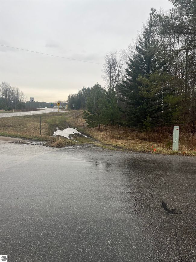 0 N Michigan Ave, Home with 0 bedrooms, 0 bathrooms and null parking in Manton MI | Image 4