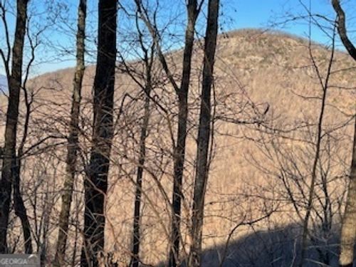 LOT 25 Mountainside Ct, Cleveland, GA, 30528 | Card Image