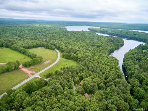Lot 4 Chapin Trl, White Lake, NY, 12786 | Card Image