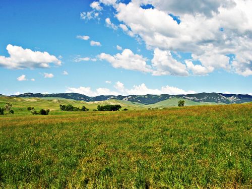 77 Sand Creek Ranch Rd, Buffalo, WY, 82834 | Card Image