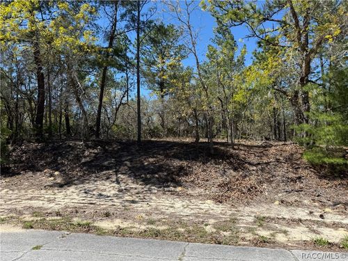 10776 N Moreno Dr, DUNNELLON, FL, 34433 | Card Image