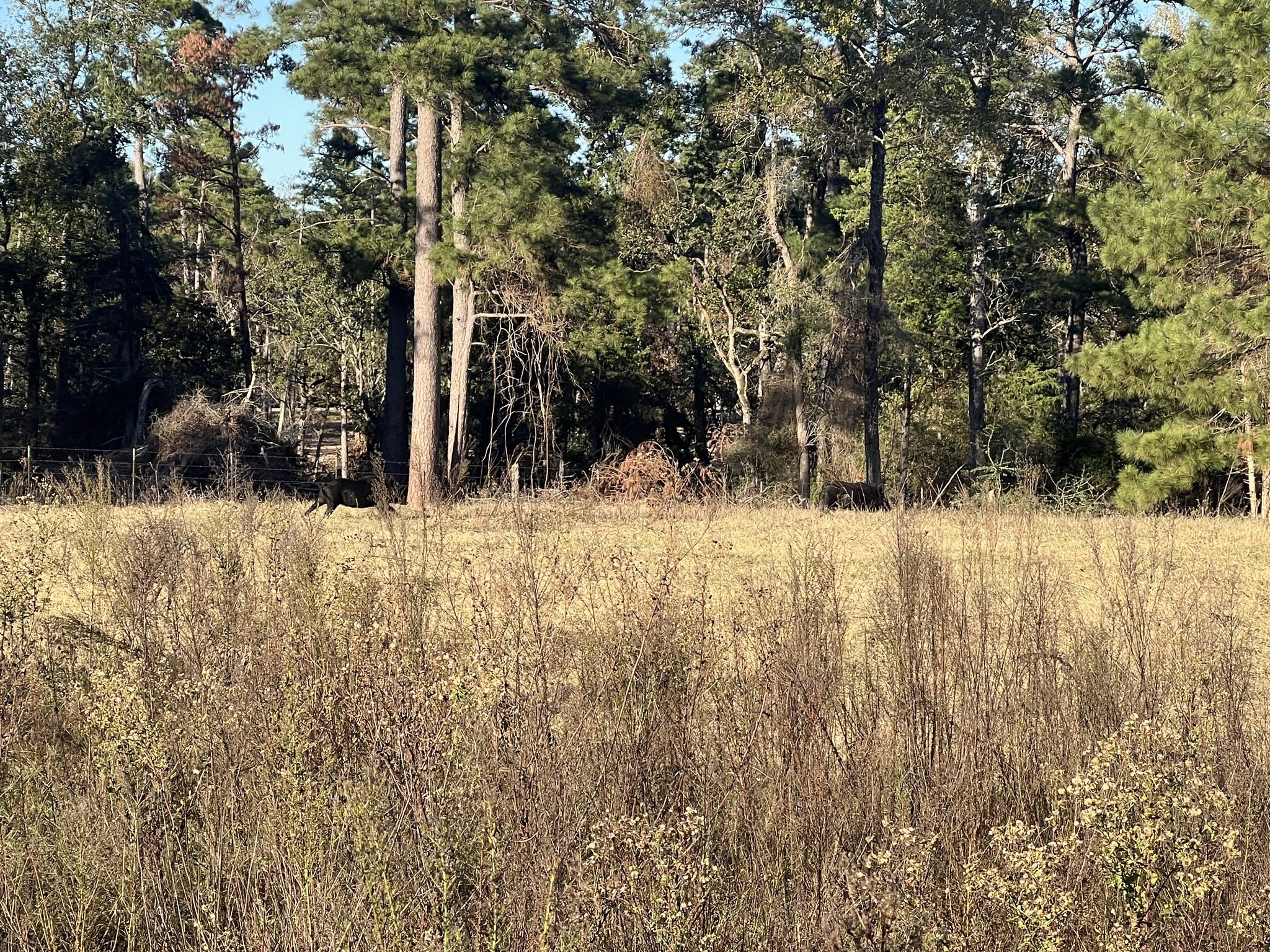 Land in Centerville