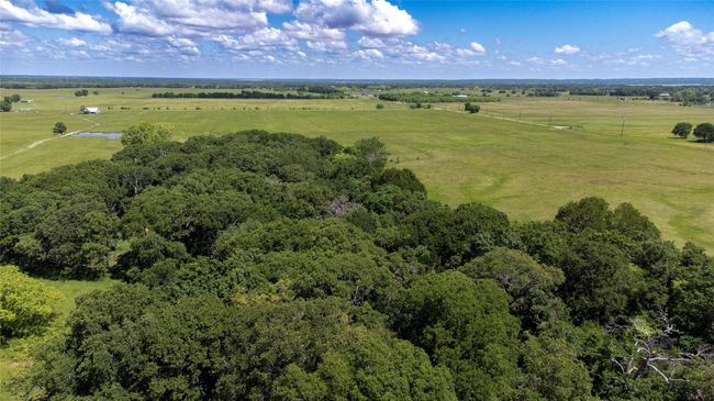 3196 Brooks Ln, Home with 0 bedrooms, 0 bathrooms and null parking in Sadler TX | Image 6
