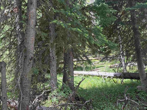 Tract 45 Overlook Retreat, Elk Mountain, WY, 82324 | Card Image