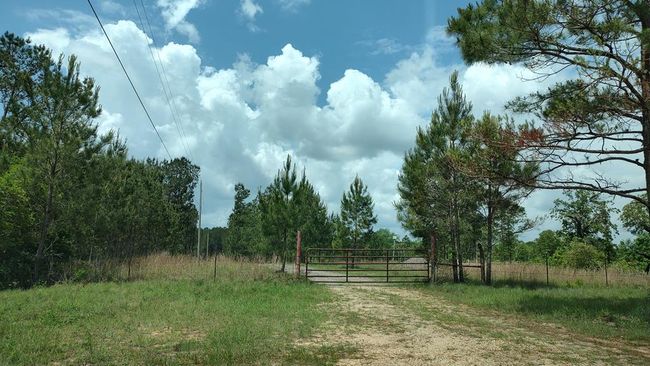 110 Rosenbaum Dr, House other with 2 bedrooms, 1 bathrooms and null parking in Poplarville MS | Image 4