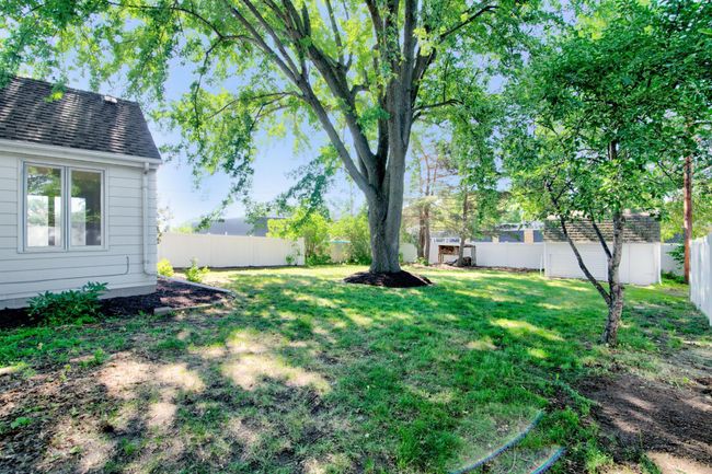 Huge Fenced-in yard | Image 13