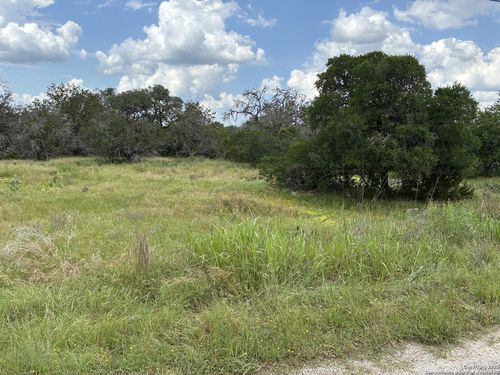 187 Bluff View Dr, Spring Branch, TX, 78070-4622 | Card Image