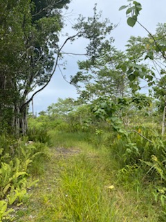 Land in Kurtistown 5