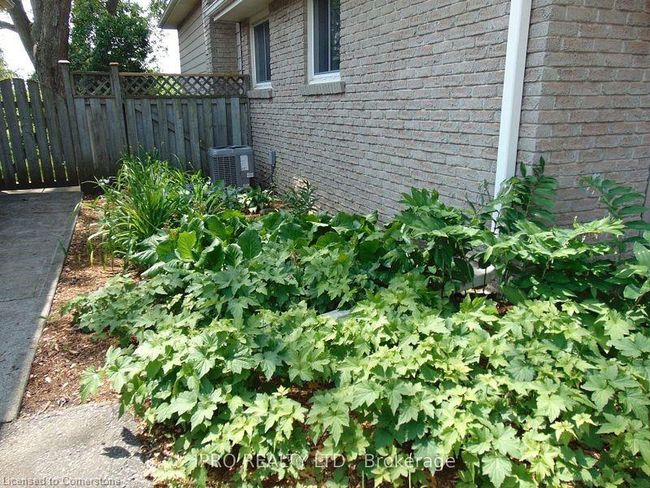 64 Hahn Ave, House other with 3 bedrooms, 2 bathrooms and 3 parking in Cambridge ON | Image 34