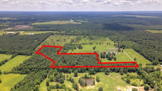 00 Lloyd Fregia Road, Home with 0 bedrooms, 0 bathrooms and null parking in Batson TX | Image 19