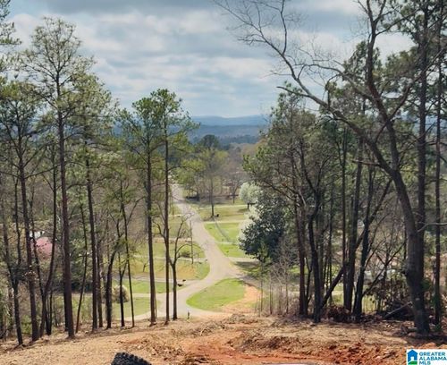 0-31 Emi Gil Dr, Oxford, AL, 36203-4323 | Card Image