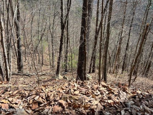 0 Aintree Dr, Sevierville, TN, 37876 | Card Image