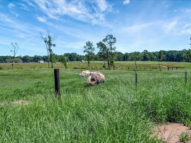 3103 Cheeseland Rd, Home with 0 bedrooms, 0 bathrooms and null parking in Pollok TX | Image 20