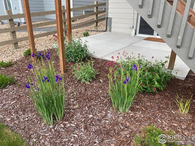 5573 Bristow Rd, House other with 4 bedrooms, 3 bathrooms and 3 parking in Timnath CO | Image 27