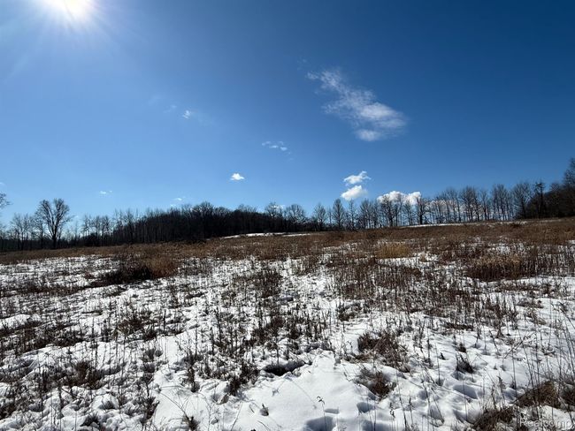0 Dean Rd, Home with 0 bedrooms, 0 bathrooms and null parking in Brown City MI | Image 10