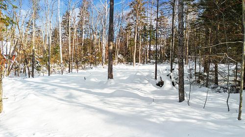 2010 Pine Road, Carrabassett Valley, ME, 04947 | Card Image