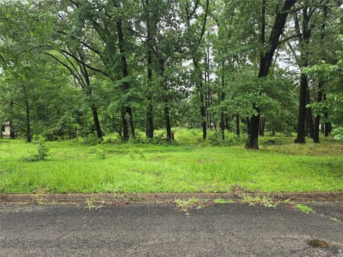 208 Mountain View Dr, Daingerfield, TX, 75638-1424 | Card Image