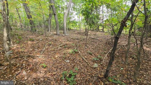 Lot 20 Long View Dr, LURAY, VA, 22835 | Card Image