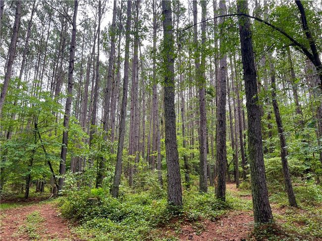 0 N Old Pendleton Rd, Home with 0 bedrooms, 0 bathrooms and null parking in Easley SC | Image 6