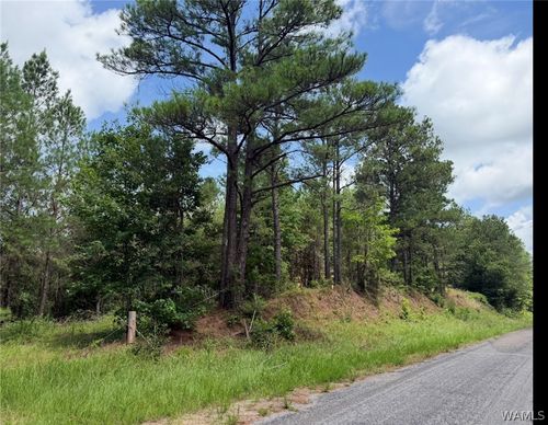 0 County Road 100, Fayette, AL, 35555 | Card Image