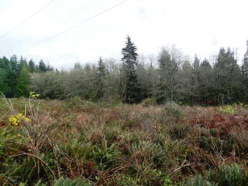 Block 1 Hauka Road, Langdale, BC, V0N1V6 | Card Image