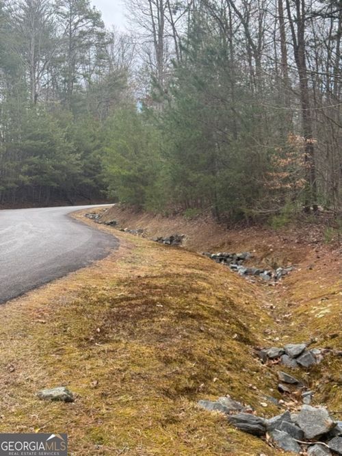 LOT 16R Leatherwood Mountain Rd, Cherry Log, GA, 30522 | Card Image