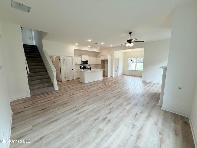 Panola | Image 6