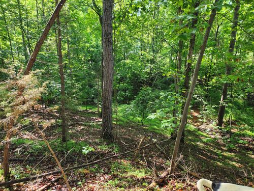 Lot 31 Forest Shores Rd, Wirtz, VA, 24184 | Card Image