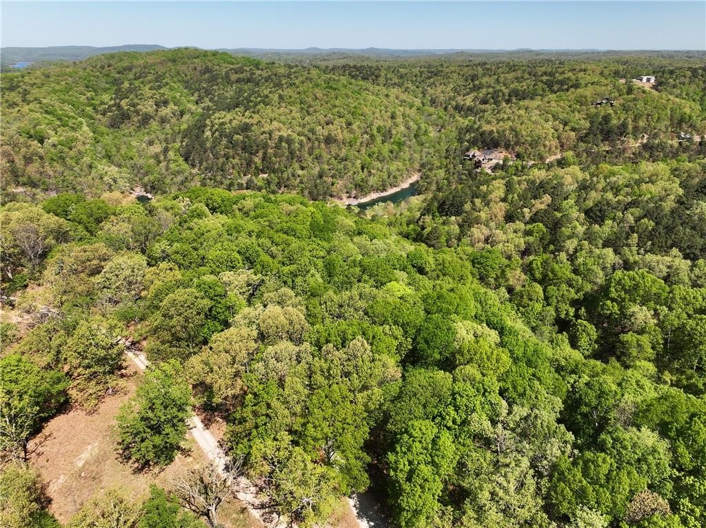 Land in Eureka Springs 5