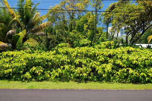 15-175 Puni Lapa Loop N, PAHOA, HI, 96778-8652 | Card Image