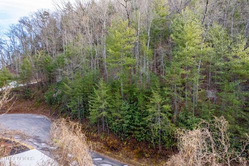 514 Chetola Trl, Townsend, TN, 37882-3000 | Card Image