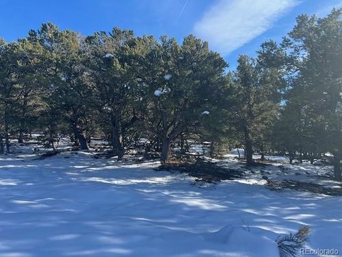 3952 Cheerful Ct, Crestone, CO, 81131 | Card Image