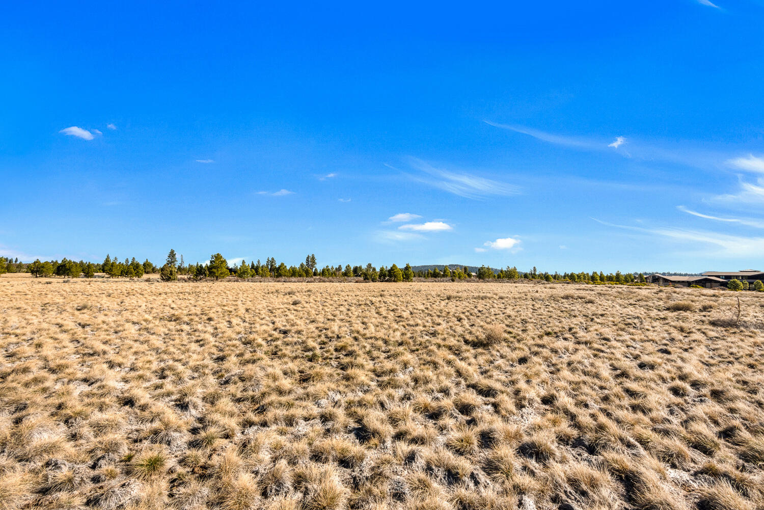 Land in Bend