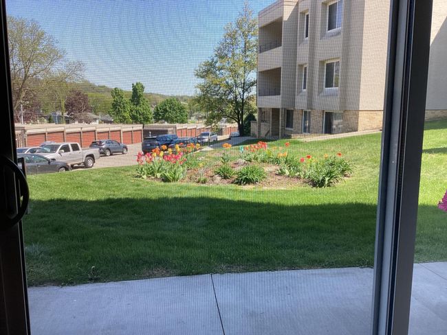 outside view from patio | Image 9