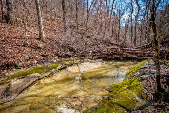 00 Bear Skin Dr, Home with 0 bedrooms, 0 bathrooms and null parking in Harriet AR | Image 44