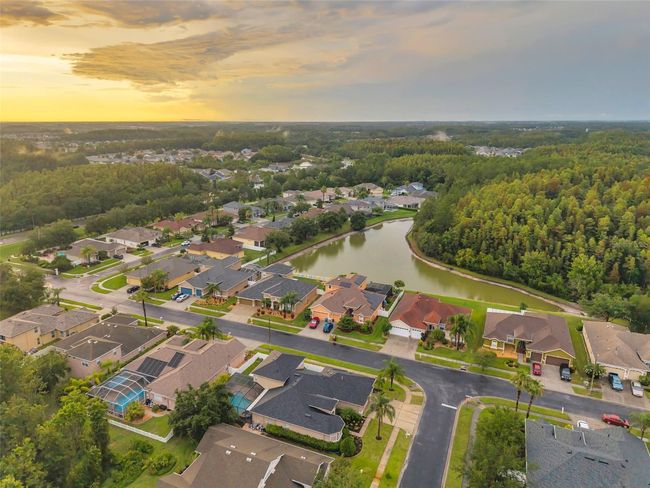 31646 Baymont Loop, House other with 5 bedrooms, 4 bathrooms and null parking in WESLEY CHAPEL FL | Image 86
