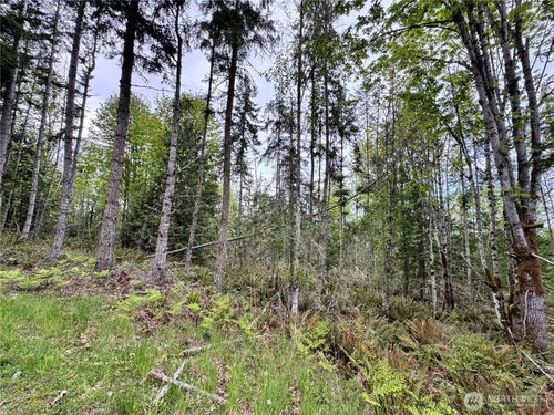 9999 Township Line Rd, Port Angeles, WA, 98362 | Card Image