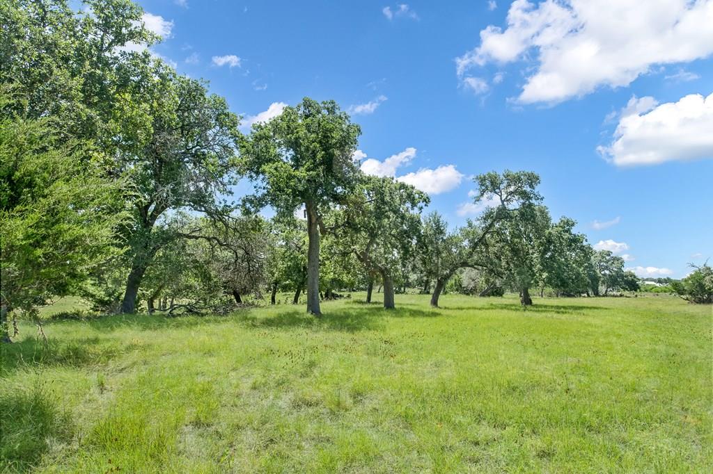 Land in Fredericksburg