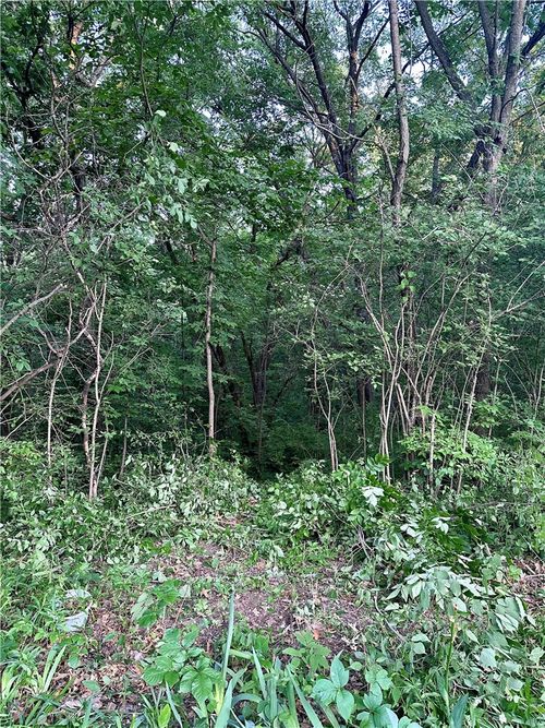 Lot 14 Forest Lane, Van Meter, IA, 50261 | Card Image