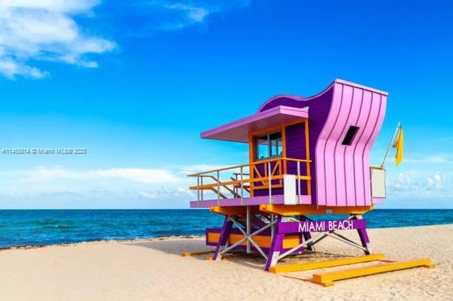 1115 - 1115 Meridian Ave, Condo with 1 bedrooms, 1 bathrooms and null parking in Miami Beach FL | Image 13