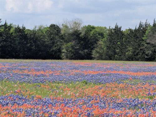 0010 Fm 2562 Rd, Anderson, TX, 77830 | Card Image