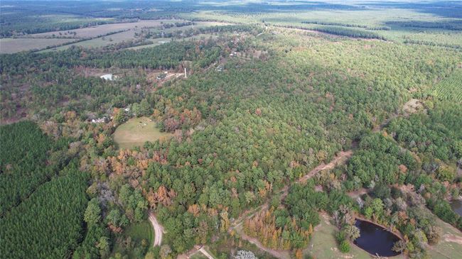 0 Raven Hill Rd, Home with 0 bedrooms, 0 bathrooms and null parking in Oakhurst TX | Image 4