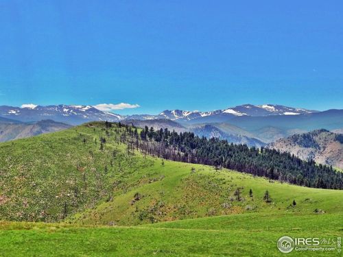7 Meadow Mountain Dr, Livermore, CO, 80536-9712 | Card Image