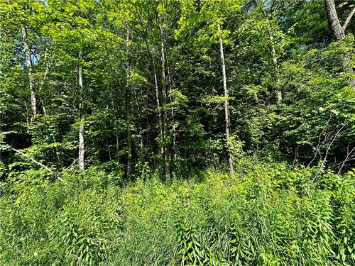 1 305th Avenue, Holcombe, WI, 54745 | Card Image