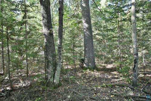 Lot 3 Mountain Road, Cornucopia, WI, 54827 | Card Image