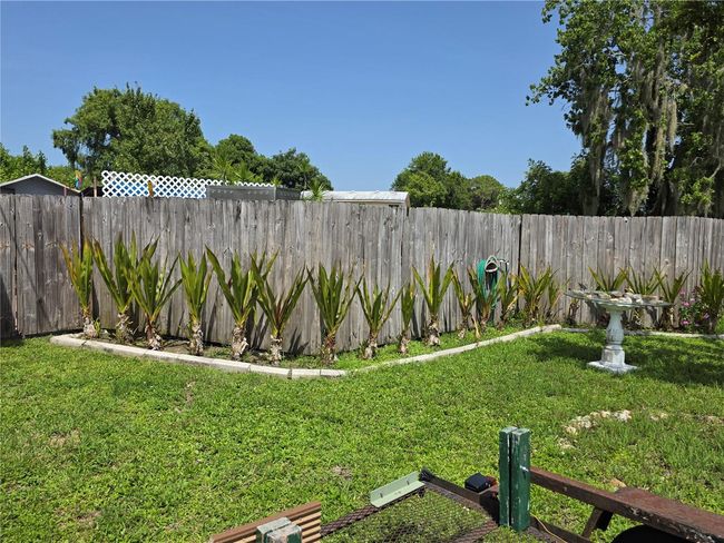 Yard | Image 38