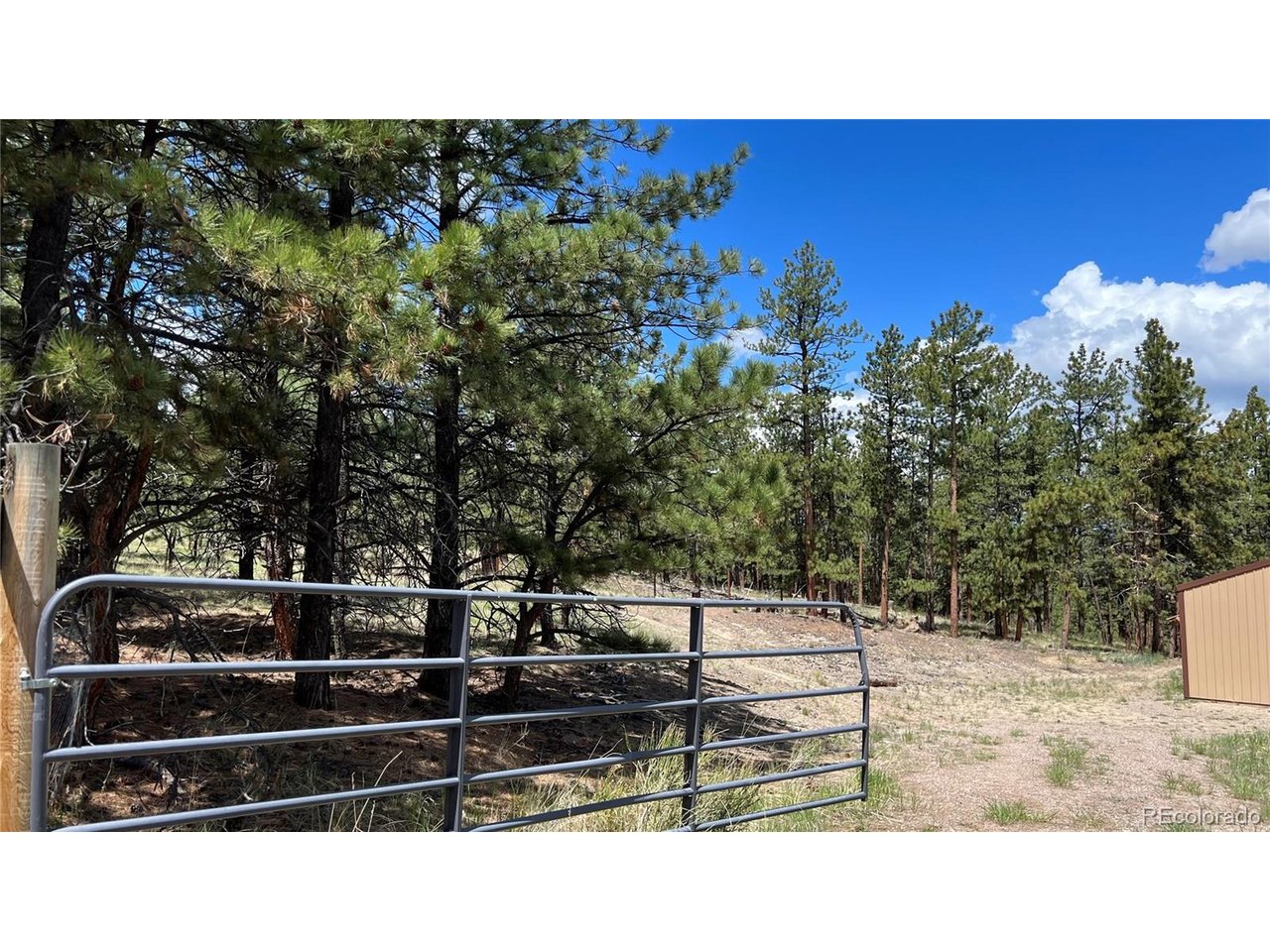 Land in Westcliffe 4